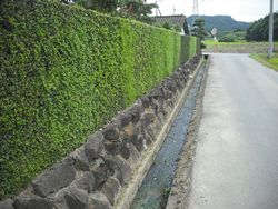 石垣