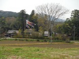 庭園・石積み